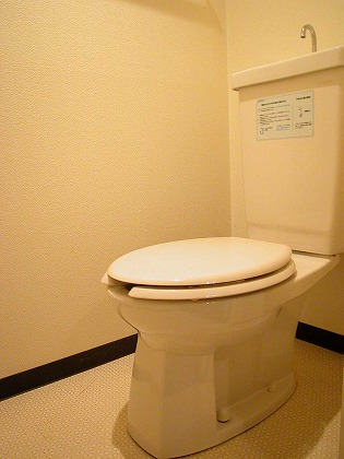 Toilet. It is very beautiful in the pre-disinfection