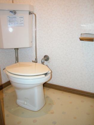 Toilet