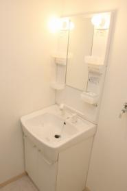 Washroom. Wash basin