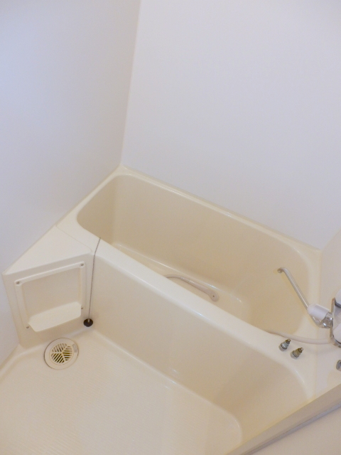 Bath. Spacious type of bath