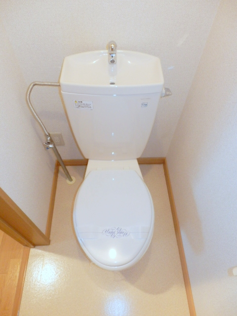 Toilet. It is beautifully cleaning being completed