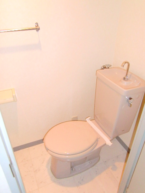 Toilet. Clean is clean already