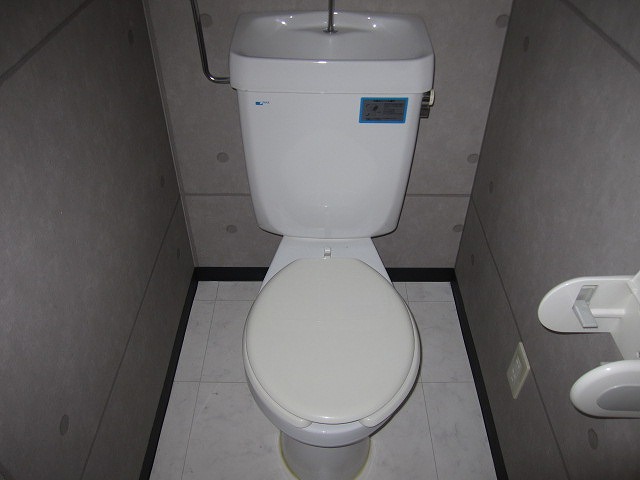 Toilet. Bus toilet by property (* ^ _ ^ *)