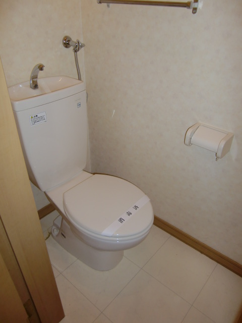 Toilet. It is a beautiful toilet in the pre-cleaning