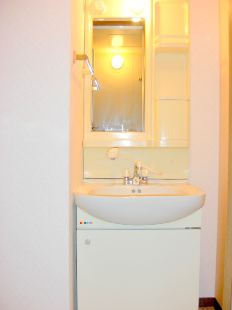 Washroom. Shampoo dresser equipped