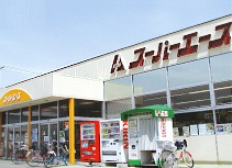 Supermarket. Super Ace Article 30 store up to (super) 423m