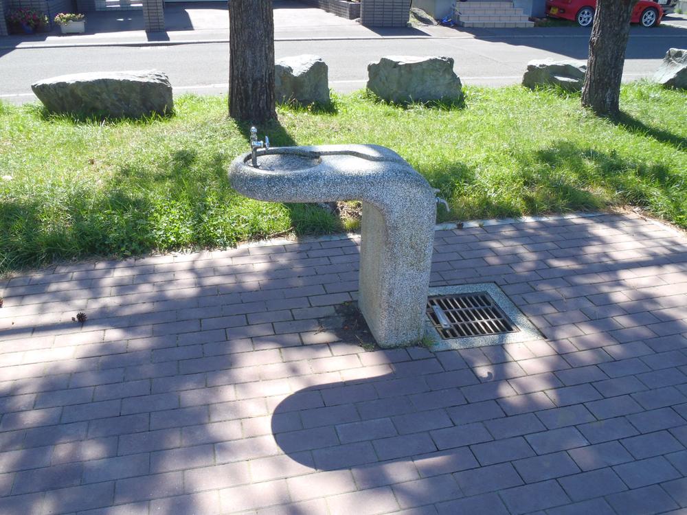 Other. There is on the south side facing.