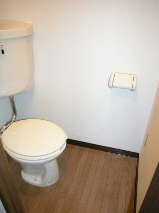 Toilet. This spacious split. 