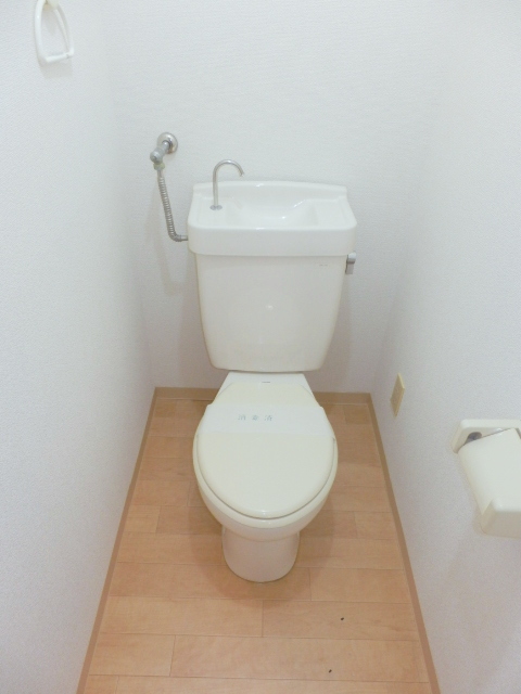 Toilet. It is beautifully cleaning being completed