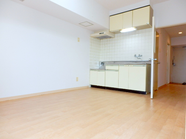 Living and room. Bright room