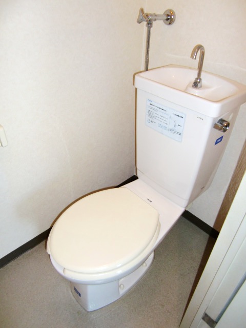 Toilet. It is beautifully cleaning being completed