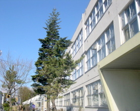 Primary school. 610m to Sapporo Municipal Mingyuan elementary school (elementary school)