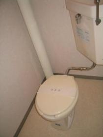 Toilet. Toilet