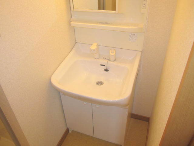 Washroom. We are able to shampoo, even in the morning with a shampoo dresser! ! 