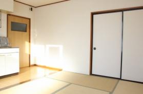 Living and room. Japanese style room