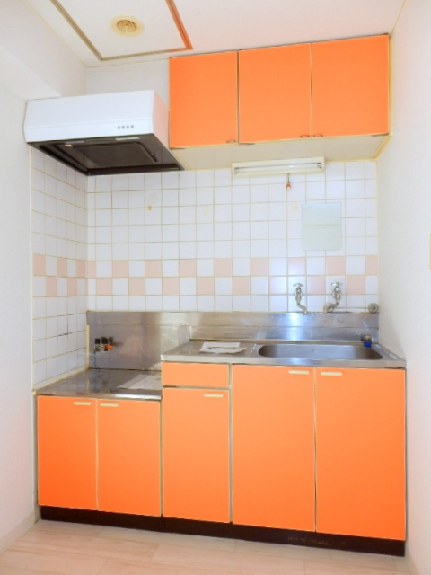 Kitchen. Stylish color kitchen