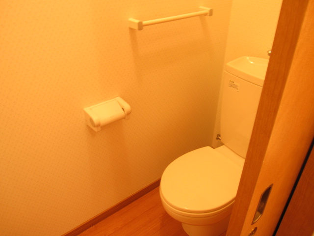 Toilet. * The photograph is another, Room