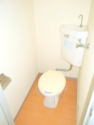 Toilet. Clean is clean already