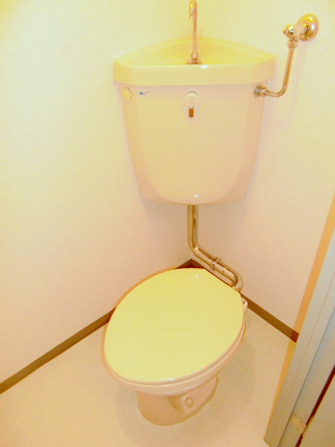 Toilet. Clean to clean already toilet