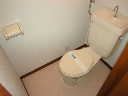 Toilet. It is already cleaning!