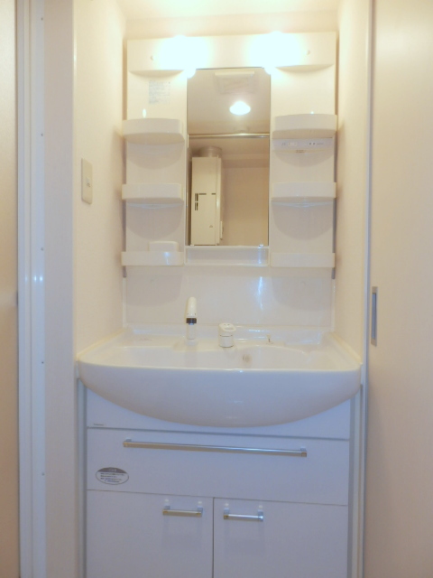 Washroom. Shampoo dresser equipped