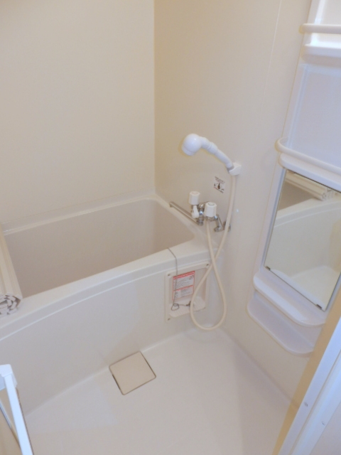 Bath. Spacious type of bath