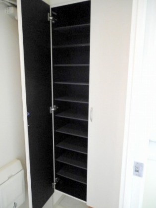 Entrance. Shoes with BOX of large capacity