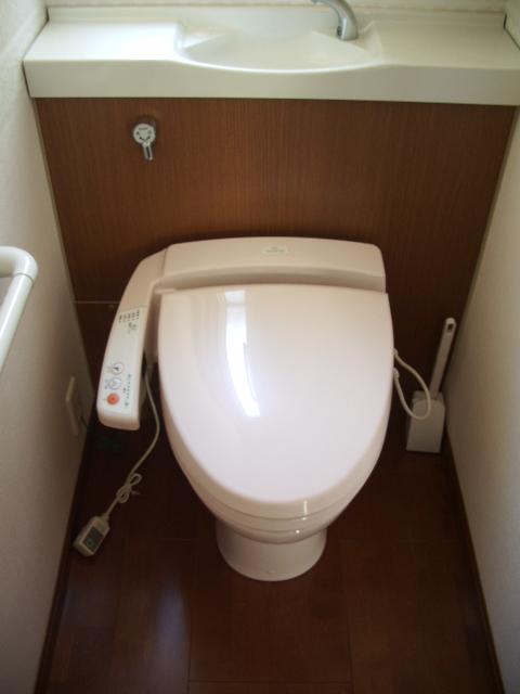 Toilet. Tankless toilet