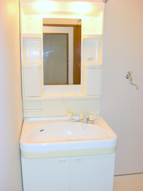 Washroom. Shampoo dresser equipped