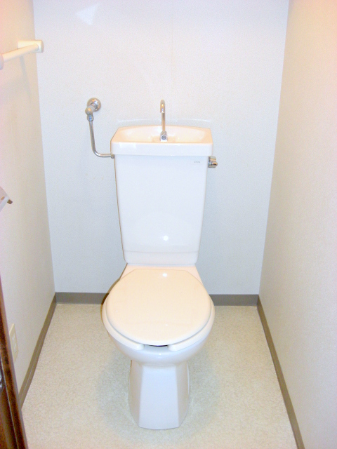 Toilet. It is beautifully cleaning being completed
