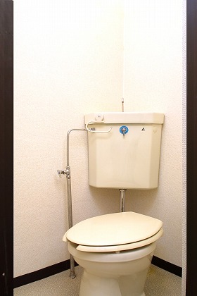 Toilet. While slowly reading in magazine ・  ・  ・  ☆ 