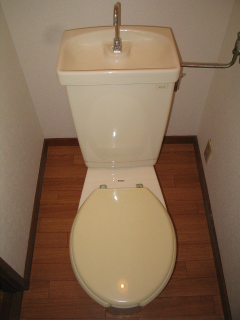 Toilet. Beautiful to already cleaning