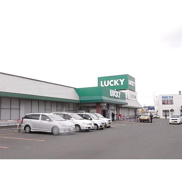 Supermarket. 200m Lucky North Article 49 shop until Lucky north Article 49 shops