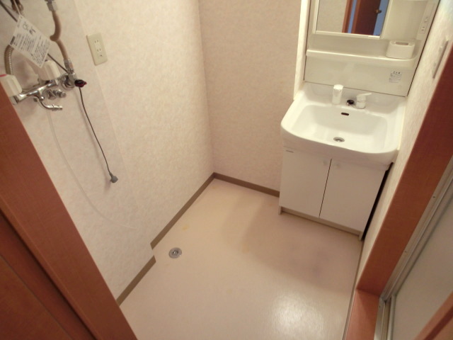 Washroom. Washing machine Storage, Wash basin equipped with shower