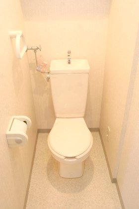 Toilet. Clean is clean already