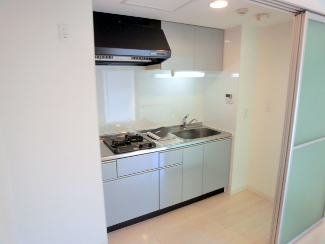 Kitchen. It hides in the system kitchen stylish door