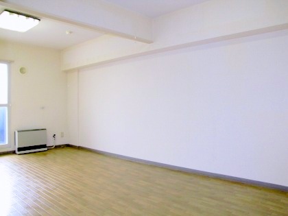 Living and room. Spacious type of apartment