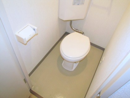 Toilet. It is beautifully cleaning being completed