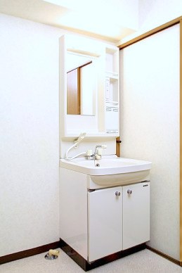 Washroom. Shampoo dresser equipped