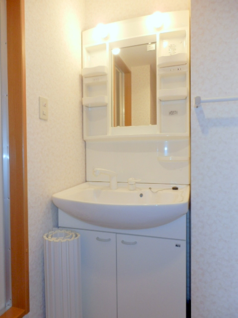 Washroom. Shampoo dresser equipped