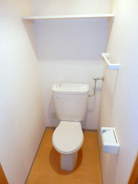 Toilet. It is beautifully cleaning being completed