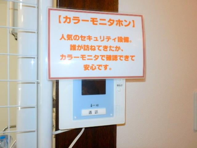 Security. It is a TV monitor with intercom of peace of mind