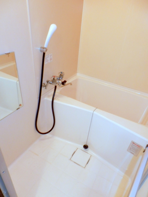 Bath. Spacious type of bath