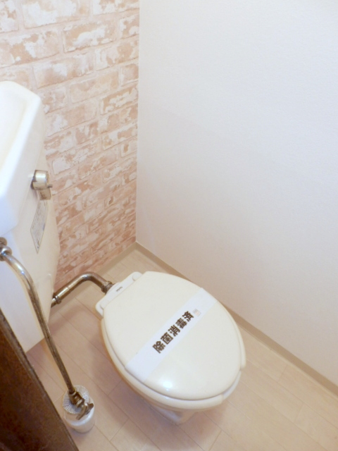 Toilet. It is beautifully cleaning being completed