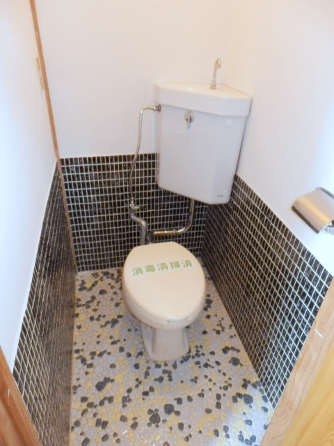 Toilet. It is beautifully cleaning being completed