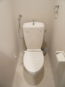 Toilet. With warm toilet