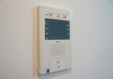 Security. Monitor with intercom