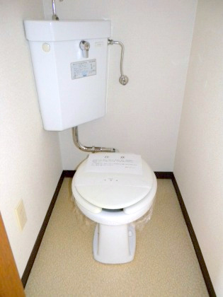 Toilet. It is beautifully cleaning being completed