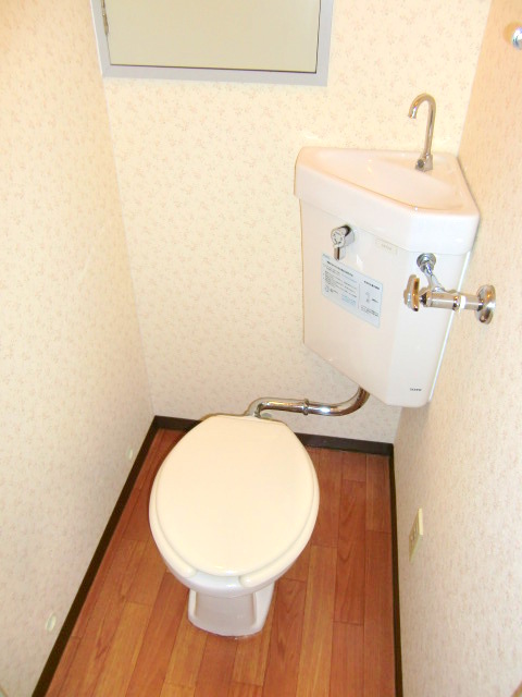 Toilet. It is beautiful in the pre-cleaning!