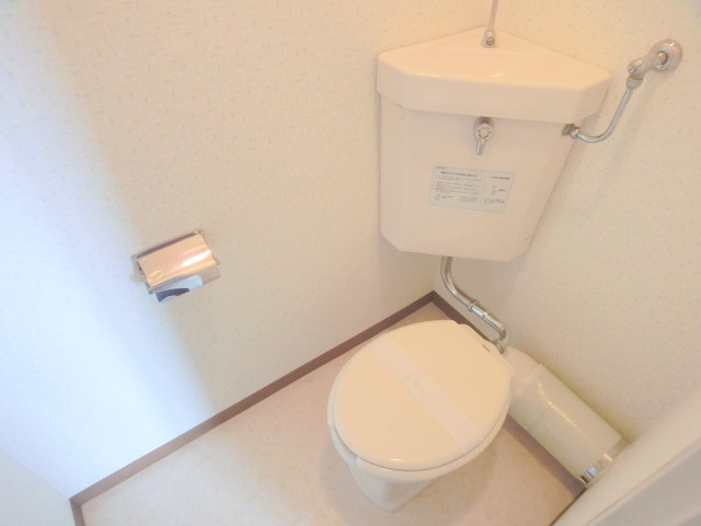 Toilet. It has become firmly and cleaning already. 